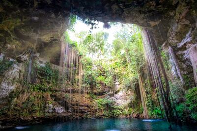Camarones de cenotes conservan los ecosistemas de esos sitios