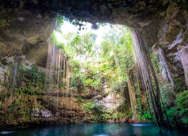 Camarones de cenotes conservan los ecosistemas de esos sitios
