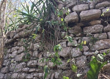 Selva oculta pirámide y juego de pelota en ciudad maya de X'baatún