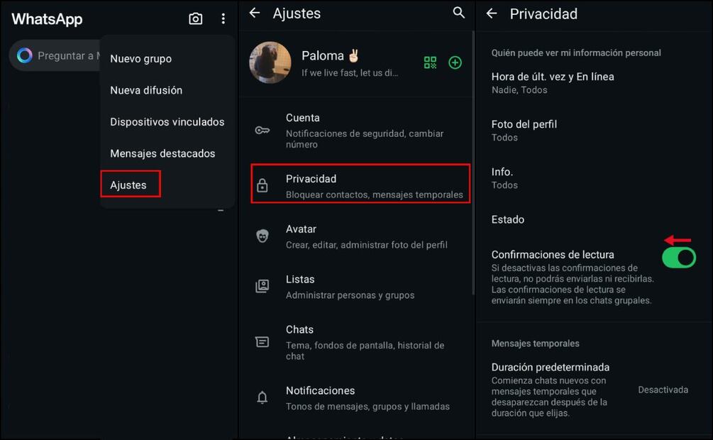 Modo invisible WhatsApp. Imagen: captura de pantalla