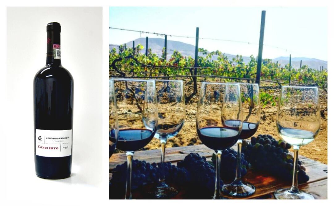 fotos: cortesía y Natalia de la Rosa