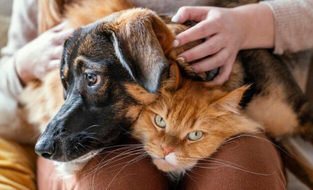 Imagen ilustrativa. Fuente: Freepik