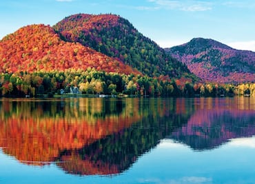 Así es el otoño en Quebec: con osos negros y vuelo en helicóptero