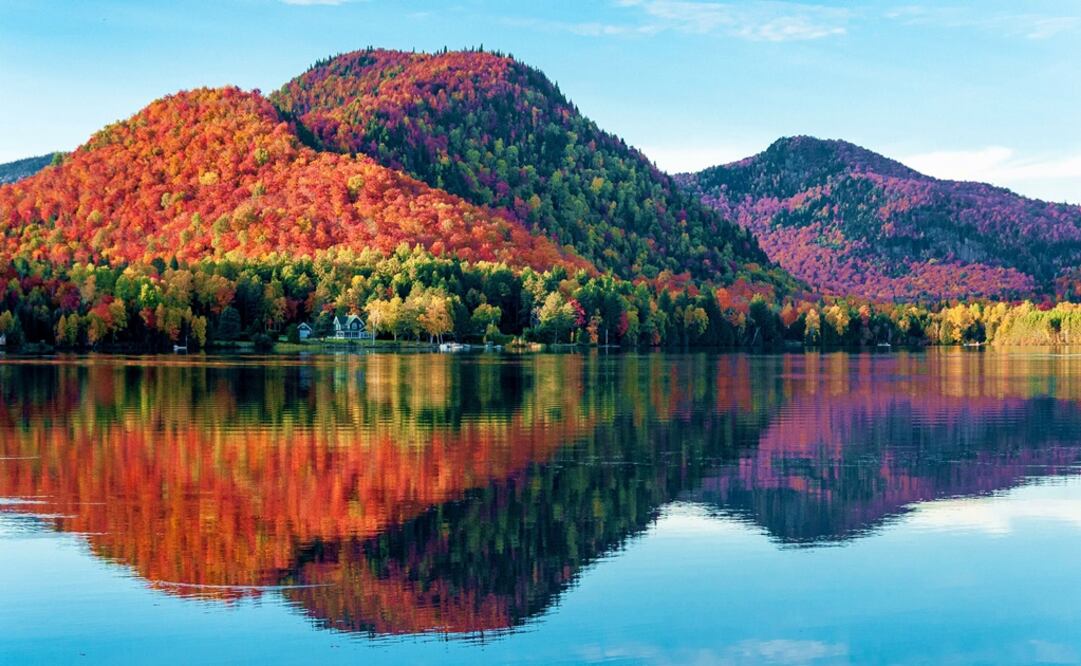 Quebec iluminado por los colores otoñales. Foto: iStock