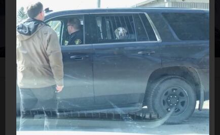 "​Arrestan" a perro en Canadá luego de que persiguió a un ciervo