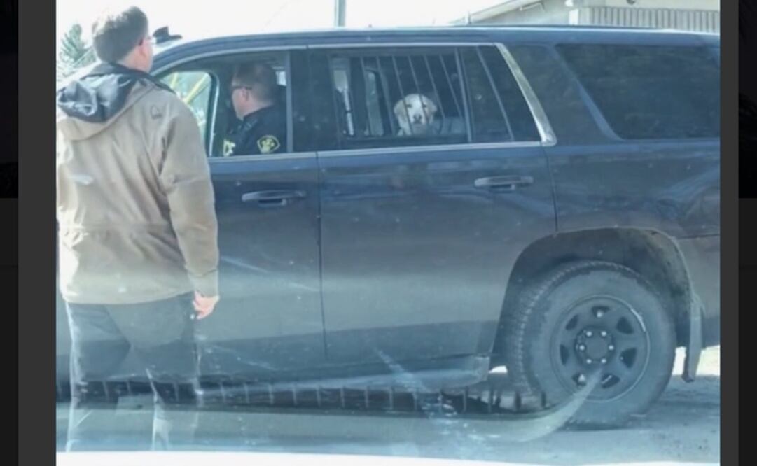 Foto: Twitter  / Especial