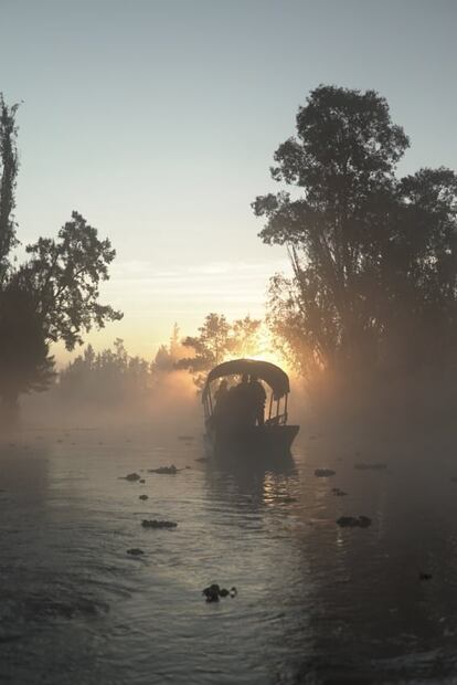 Arca Tierra, alimentos orgánicos y de temporada de la chinampa a tu mesa
