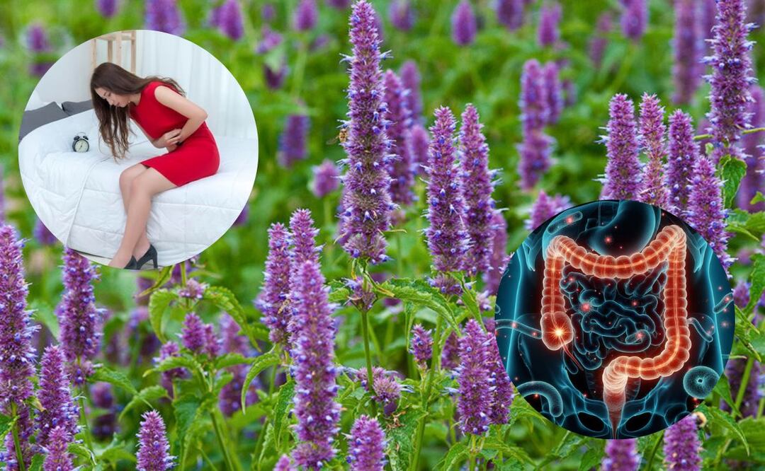 Una buena alimentación es fundamental para la prevención de enfermedades. Fuente: Freepik.