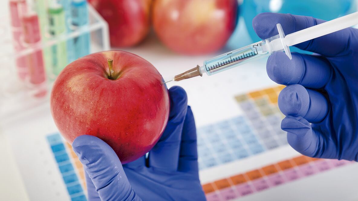 Alimentos trangénicos; no son necesariamente malos