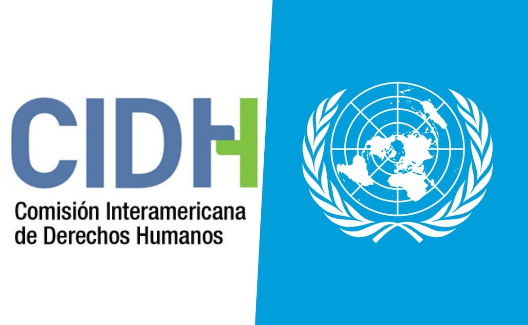 Comisión Interamericana de Derechos Humanos (CIDH) y Organización de las Naciones Unidas (ONU). Foto: Redes oficiales