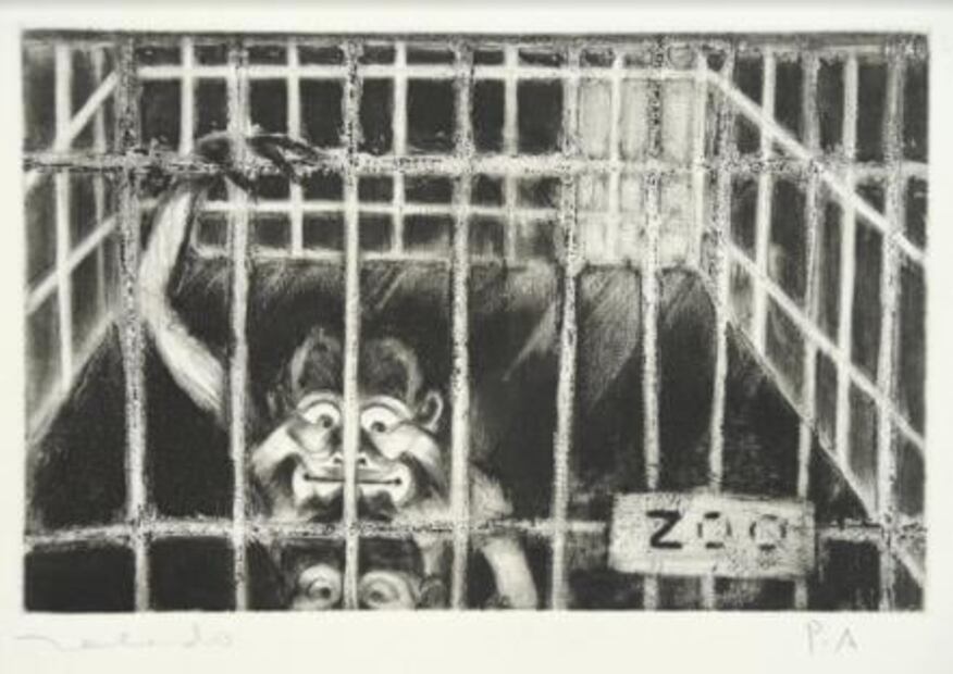 Obra de Francisco Toledo llega a Washington