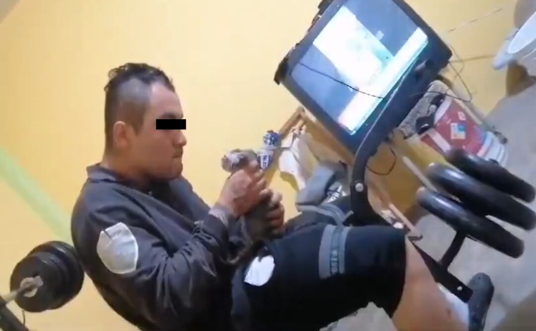 Detienen a presunto torturado de gatos en Naucalpan. Captura de pantalla