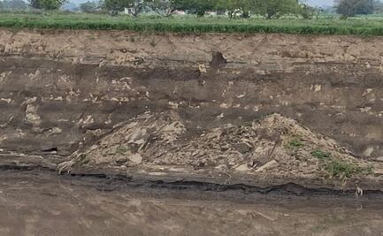 "Desaparece" el otro perro ubicado dentro del socavón en Puebla