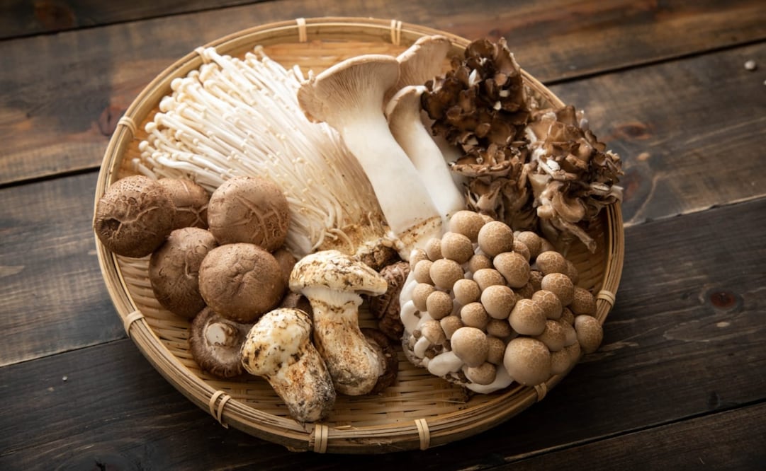 Los hongos son uno de los alimentos más nutritivos que puedes comer, que tienen un alto contenido en vitaminas y minerales además de aportar fibra. Foto:iStock