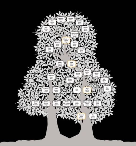 Ricardo Salinas: Árbol genealógico del empresario que dice ganar 750 mil pesos en minutos