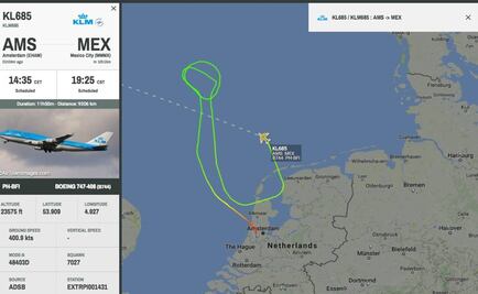Pájaro provocó emergencia en vuelo de KLM Ámsterdam- México