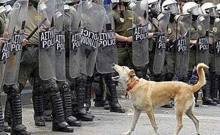 Cronología. Perros, héroes de la historia
