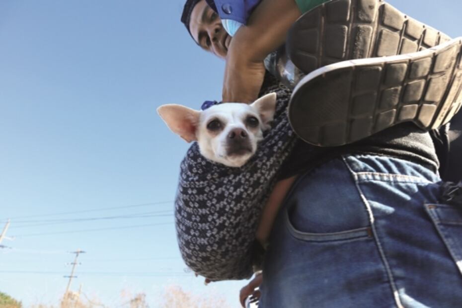 Migrar: sin edad para huir de la violencia