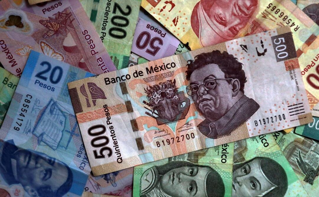 The INE won't receive the resources it requested for 2020 - Photo: Edgar Garrido/REUTERS