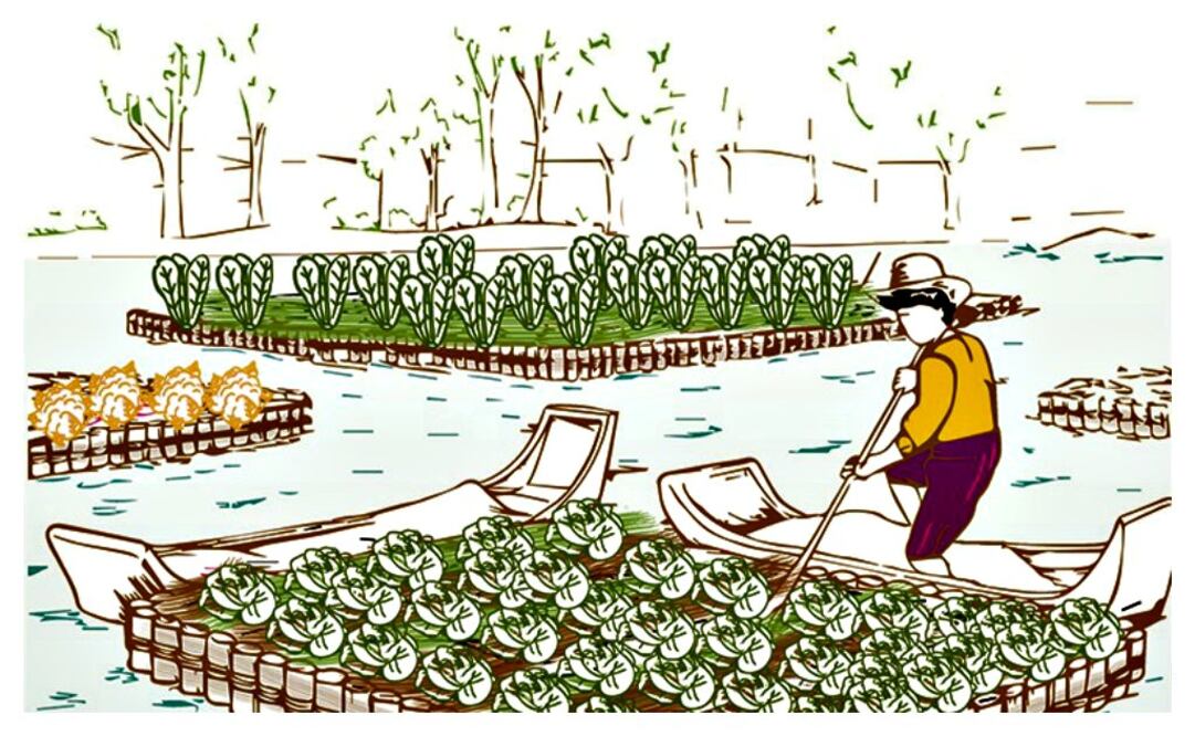 cortesía: Claustro de Sor Juana