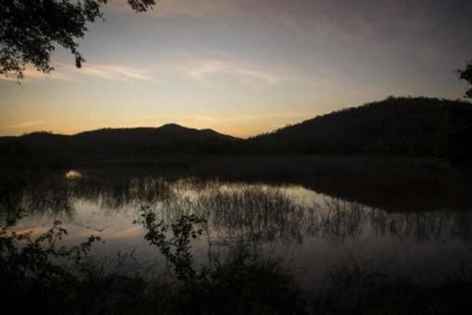 Cacaluta, and endangered paradise