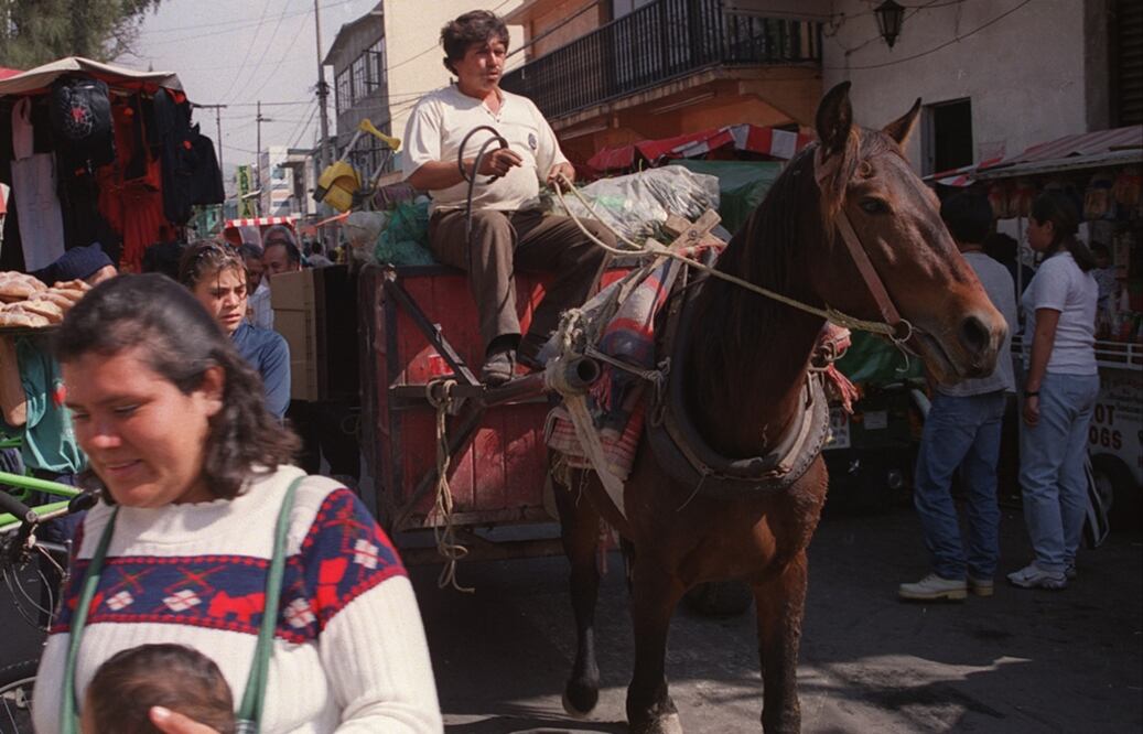 El carretonero recolecta basura utilizando una carreta jalada por un caballo. Foto: Archivo/EL UNIVERSAL