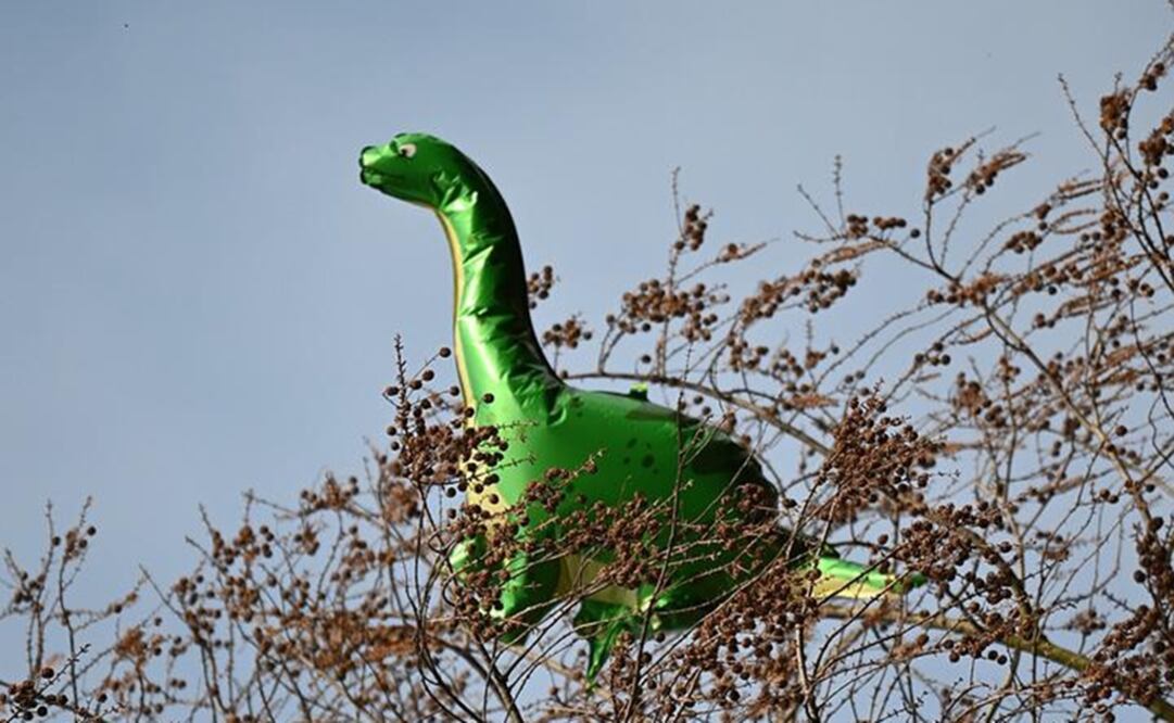 Foto: Ilustrativa. Pixabay