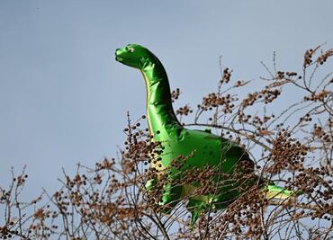 Niño de 5 años muere al intentar meterse en un globo de dinosaurio