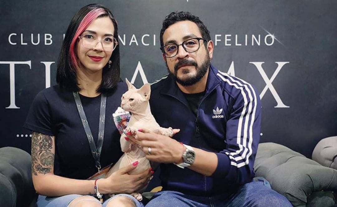 El amor por los gatos de Luis Fernando Peña y su esposa Aly Noris.