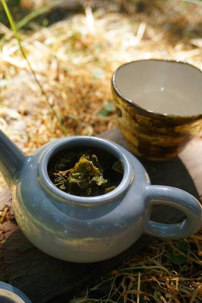 Las infusiones invernales, un remedio para el frío