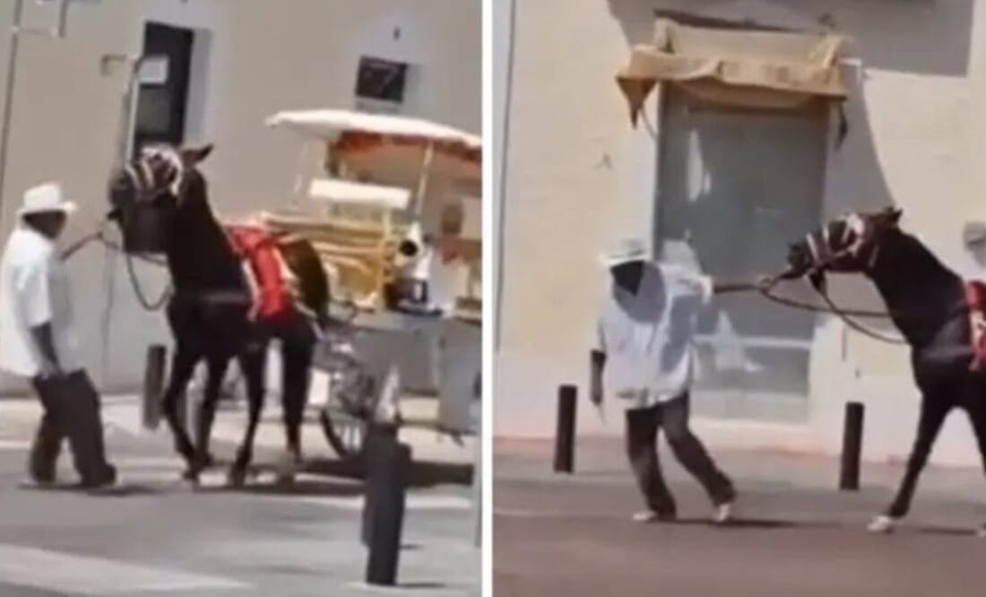 Calesero golpea a un caballo en Mérida. Foto: especial