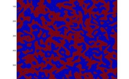 Las matemáticas alumbran los primeros momentos de la vida