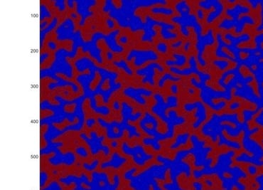 Las matemáticas alumbran los primeros momentos de la vida