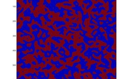 Las matemáticas alumbran los primeros momentos de la vida