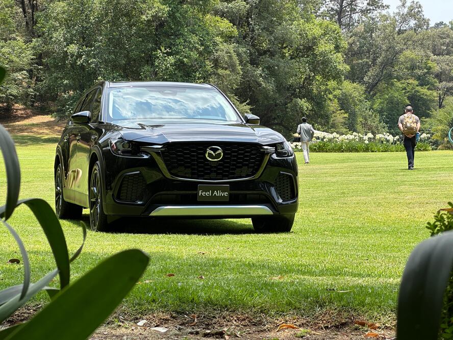 Foto: Luis Vilchis. El Universal.