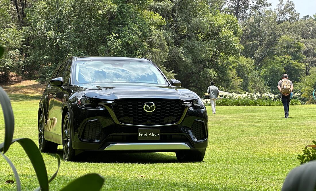 Foto: Luis Vilchis. El Universal.