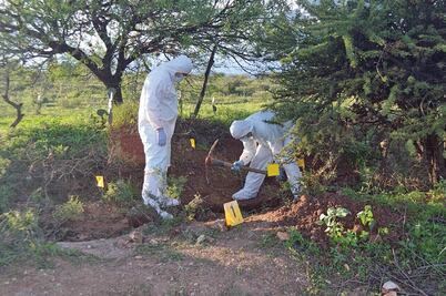Hallan fosa clandestina con cinco cuerpos en Zacatecas