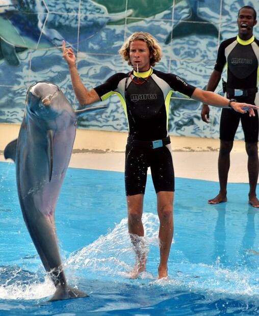 Turismo con animales: crueldad por una foto