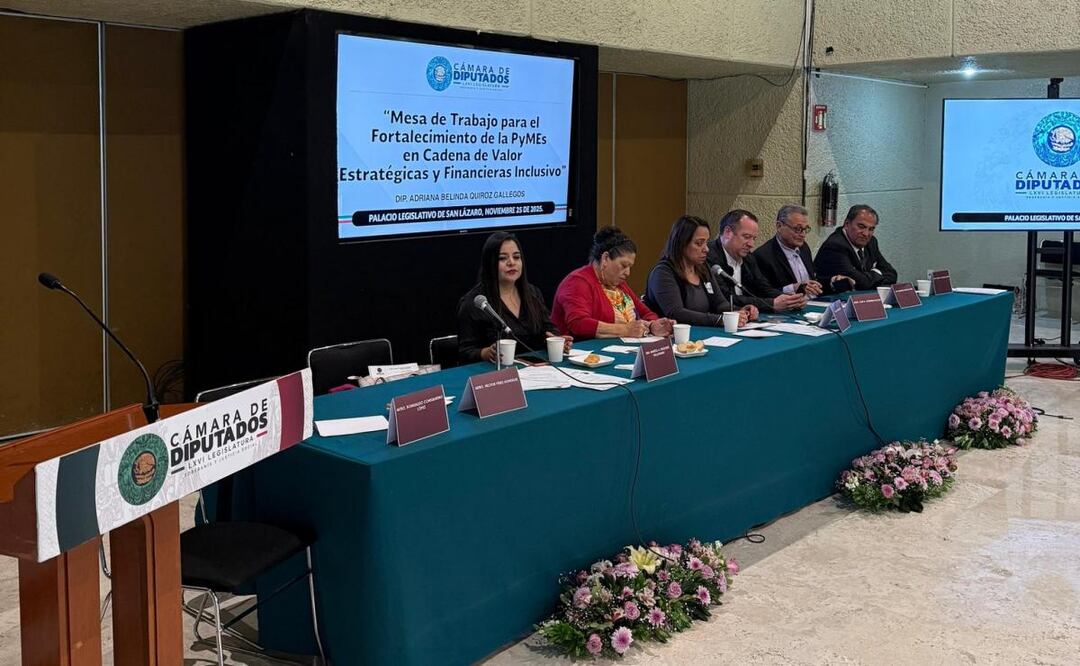 Diputados y SHCP instalan mesas de trabajo para fortalecer apoyo a MiPyMEs (28/11/2025). Foto: X (@anamferraez)