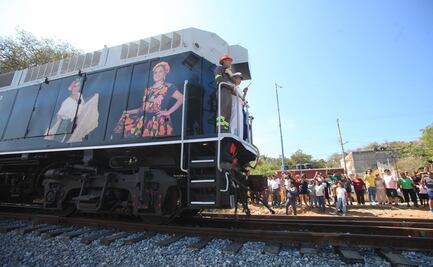 Acusan a Corredor Interoceánico de derribar 7 mil plantas endémicas en Oaxaca