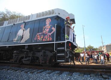 Acusan a Corredor Interoceánico de derribar 7 mil plantas endémicas en Oaxaca