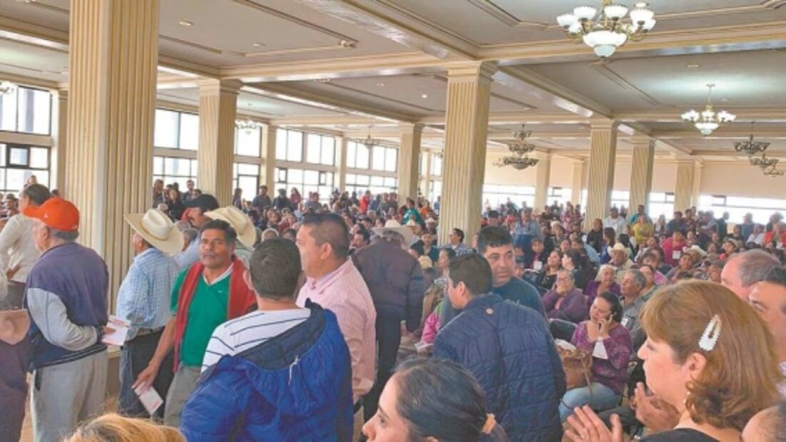 El Foco. “Merezco salir libre bajo fianza de 150 mil libras”