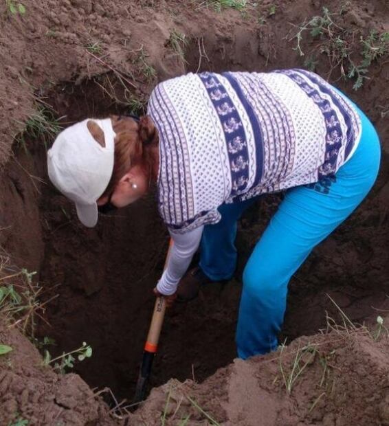 Un mundo de sangre, de fluidos, de gusanos blancos