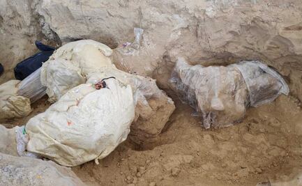 Habitantes de Puebla hallan en un panteón restos de mamut de hace 10 mil años 