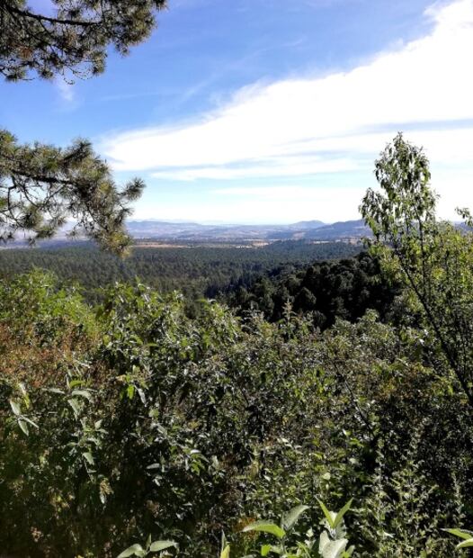 Si vas al Santuario de las Luciérnagas, NO hagas esto