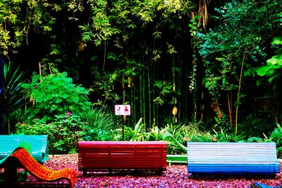 4 lugares en la CDMX para relajarte y contemplar la naturaleza