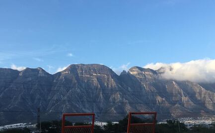 Incendios forestales consumen 700 hectáreas  en NL