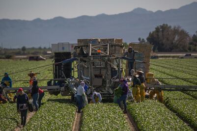 Inmigrantes aportan 11.7 mil mdd en impuestos