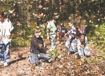 Mariposa monarca migratoria, a la lista de especies en peligro de extinción