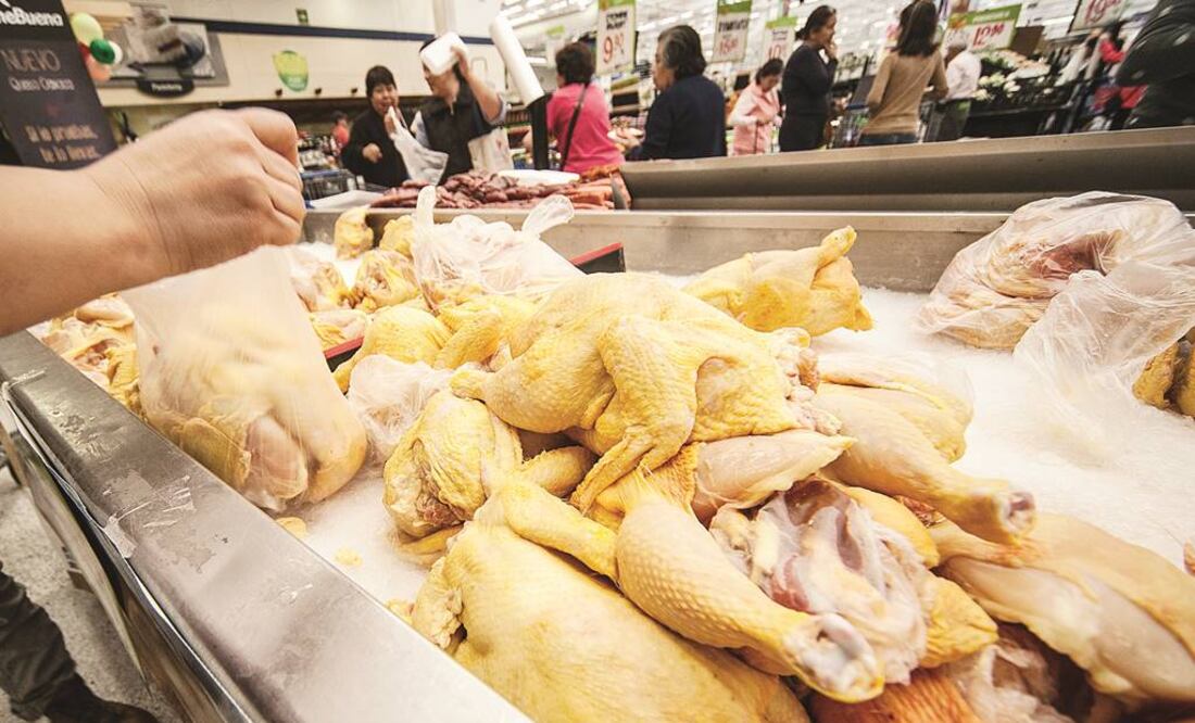 El color del pollo dice mucho acerca de estas aves. Foto: Archivo EL UNIVERSAL